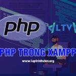 Code PHP Trong XAMPP - Tổng quan, hướng dẫn và lời khuyên