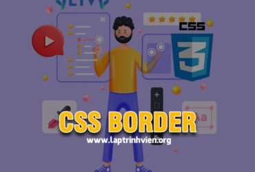 CSS Border - Cách sử dụng Border trong CSS - Lập Trình Viên