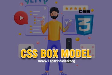 CSS Box Model - Cách sử dụng Box Model trong CSS