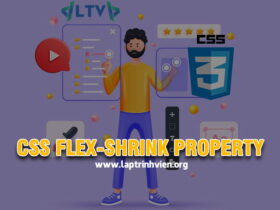 CSS flex-shrink property là gì sử dụng như thế nào