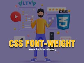 CSS font-weight - Cách in đậm font chữ trong CSS