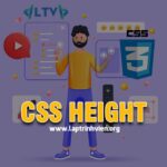CSS height property sử dụng như thế nào ? - Lập Trình Viên