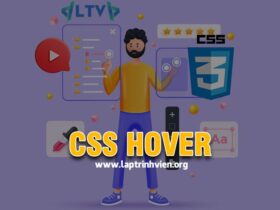 CSS Hover - Cách sử dụng thuộc tính Hover trong CSS