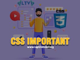 CSS Important - Cách sử dụng thuộc tính Important CSS3