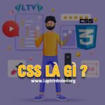 CSS là gì ? Hướng dẫn tự học CSS 3 miễn phí - Lập Trình Viên