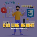 CSS Line Height - Cách sử dụng Line Height trong CSS 3