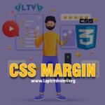 CSS Margin - Cách sử dụng thuộc tính Margin trong CSS 3