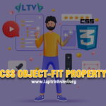 CSS object-fit property là gì và cách sử dụng thế nào #1