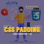 CSS Padding - Sử dụng thuộc tính Padding trong CSS