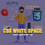 CSS White Space - Cách sử dụng White Space trong CSS #1