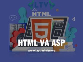 HTML và ASP khác nhau như thế nào